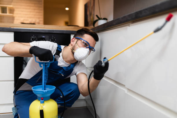Best Pest Prevention Services  in Mishawaka, IN