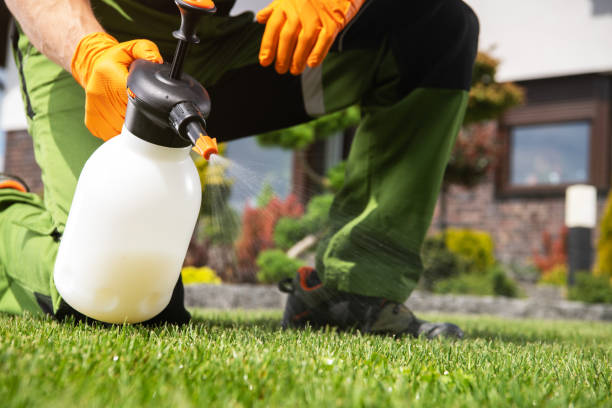 Best Residential Pest Control  in Mishawaka, IN