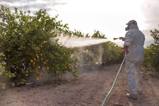 Best Affordable Pest Control Services  in Mishawaka, IN