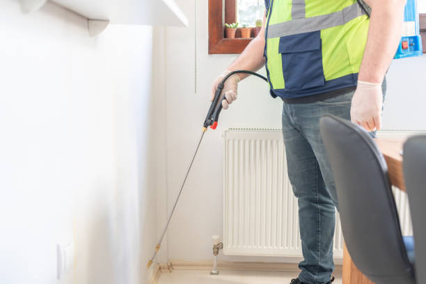 Best Termite Control Services  in Mishawaka, IN