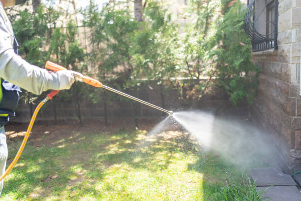 Professional Pest Control in Mishawaka, IN