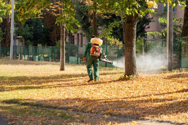 Best Insect Control  in Mishawaka, IN