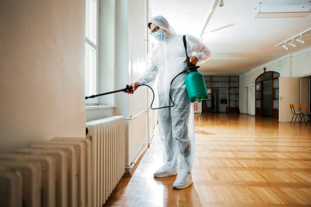 Best Affordable Pest Control Services  in Mishawaka, IN