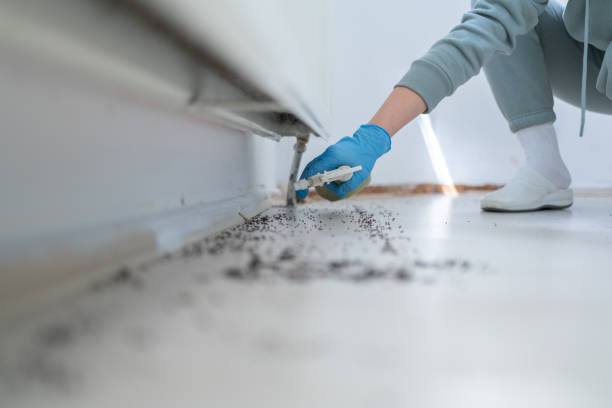 Flea Control Services in Mishawaka, IN